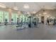 State-of-the-art community fitness center, equipped with cardio machines and weight training equipment at 16822 Balance Cv, Land O Lakes, FL 34638