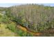 Scenic landscape shot of trees and vegetation near the community pond at 16822 Balance Cv, Land O Lakes, FL 34638