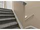 Carpeted staircase with white trim and neutral walls leading to the upper level at 2441 Hibiscus Bay Ln, Brandon, FL 33511