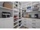 Walk-in pantry featuring custom shelves, drawers, counter, and modern appliances at 4777 Ballantrae Blvd, Land O Lakes, FL 34638