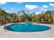 A serene community pool surrounded by lounge chairs, palm trees, and lush greenery for relaxation and enjoyment at 4777 Ballantrae Blvd, Land O Lakes, FL 34638