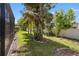 Lush backyard with mature trees, tropical plants, and a well-maintained lawn at 8078 Pine Crest St, Seminole, FL 33777