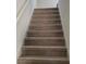 Carpeted stairway at 11624 Fringetree Ct, Riverview, FL 33579