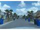 Neighborhood street lined with palm trees and well-maintained homes at 11624 Fringetree Ct, Riverview, FL 33579