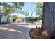 Backyard with swimming pool, lush trees, deck with seating, storage shed and charming decorative chickens at 126 Orangewood Dr, Dunedin, FL 34698