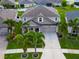 Beautiful aerial view of a home surrounded by lush landscaping and mature palm trees at 13113 Rain Lily Dr, Riverview, FL 33579
