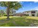 Expansive backyard featuring a screened-in lanai, lush lawn, and mature trees offer ultimate privacy at 16119 Carencia Ln, Odessa, FL 33556