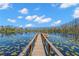Picturesque view of a wooden dock leading out onto a serene lake with lily pads at 16119 Carencia Ln, Odessa, FL 33556