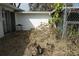 Backyard exterior with dry vegetation. Ready for transformation at 2335 Murilla S Way, St Petersburg, FL 33712