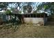 Backyard exterior with dry vegetation. Ready for transformation at 2335 Murilla S Way, St Petersburg, FL 33712