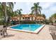 Community pool with palm trees and lounge chairs at 2636 Enterprise E Rd # C24, Clearwater, FL 33759