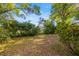 Spacious backyard with ample room for outdoor activities and landscaping at 5809 Dartmouth N Ave, St Petersburg, FL 33710