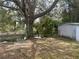 Secluded backyard featuring a large tree, a shed, and canal access, offering a peaceful and functional outdoor space at 14612 Coral Dr, Hudson, FL 34667
