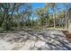 Backyard view with large trees and ample space, creating a serene and natural outdoor environment at 17913 Greensboro St, Spring Hill, FL 34610