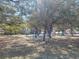 Playground nestled among mature trees, a safe and enjoyable recreational space for  at 204 Shore W Dr, Oldsmar, FL 34677