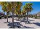 Scenic community entrance with brick-paved drive, mature palm trees, and manicured landscaping at 2119 Kings Palace Dr, Riverview, FL 33578