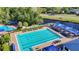 Aerial view showcasing the community pool with lap lanes, sun loungers, mature landscaping, and adjacent picnic area at 28402 Openfield Loop, Wesley Chapel, FL 33543