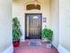 A welcoming front entrance with a dark-colored door, decorative plants, and a stylish overhead light fixture at 28402 Openfield Loop, Wesley Chapel, FL 33543