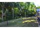 Large backyard with lush lawn and mature trees, providing a serene and private outdoor space at 3189 Roxmere Dr, Palm Harbor, FL 34685