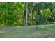 Over sized backyard with lush lawn, mature trees, and bird feeders to enjoy the local wildlife at 3189 Roxmere Dr, Palm Harbor, FL 34685
