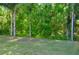 Large backyard with lush lawn and mature trees, providing a serene and private outdoor space at 3189 Roxmere Dr, Palm Harbor, FL 34685