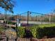 Ridgemoor Central Park provides residents with an active lifestyle with tennis courts and lush greenery at 3189 Roxmere Dr, Palm Harbor, FL 34685