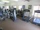 Community gym with treadmills, elliptical machines, and weight training machines at 4107 Chatham Oak Ct # 326, Tampa, FL 33624