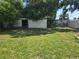 Backyard showing a detached shed-like structure with green grass, but needing cleaning and some landscaping work at 613 Chestnut St, Oldsmar, FL 34677