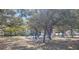 Colorful playground set amongst mature shady trees at 613 Chestnut St, Oldsmar, FL 34677