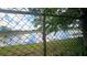 Scenic backyard view showcasing the serene lake surrounded by lush greenery and blue sky at 704 Lemonwood Dr, Oldsmar, FL 34677