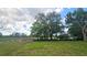The chain-link fence creates a secure backyard, offering scenic views of the surrounding trees and pond at 704 Lemonwood Dr, Oldsmar, FL 34677