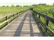 Wooden boardwalk through a lush, green landscape offering nature walks at 704 Lemonwood Dr, Oldsmar, FL 34677