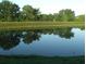 Scenic view of a calm pond reflecting the surrounding trees and sky, adding natural beauty at 704 Lemonwood Dr, Oldsmar, FL 34677