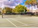 Well-maintained tennis court, enclosed by a net screen, surrounded by lush greenery and mature trees for an active lifestyle at 704 Lemonwood Dr, Oldsmar, FL 34677