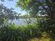 Beautiful water view through some trees at 704 Lemonwood Dr, Oldsmar, FL 34677