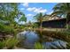 Scenic backyard featuring a serene pond, lush greenery, and palm trees, creating a tranquil oasis at 7775 Still Lakes Dr, Odessa, FL 33556