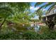 Tranquil backyard pond surrounded by lush plants and trees at 7775 Still Lakes Dr, Odessa, FL 33556