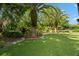 Backyard with synthetic turf, pond, and mature palm trees at 7775 Still Lakes Dr, Odessa, FL 33556