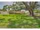 Expansive front yard featuring a mature oak tree, offering shade and curb appeal at 1129 Haley Ln, Dunedin, FL 34698
