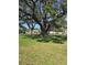 Landscaped front yard featuring mature oak trees creating a natural canopy at 1129 Haley Ln, Dunedin, FL 34698