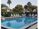 Sparkling community pool with comfortable lounge seating and lush landscaping for relaxation at 113 Nina Way # 113, Oldsmar, FL 34677