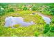 An aerial shot shows a pond surrounded by lush green vegetation at 12302 Knight Pl, Thonotosassa, FL 33592