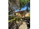 Backyard with mature trees and a patio at 1850 Oklahoma Ne Ave, St Petersburg, FL 33703
