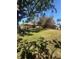 Large backyard with mature trees providing ample shade at 1850 Oklahoma Ne Ave, St Petersburg, FL 33703