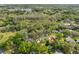 An aerial view of a neighborhood featuring tree-lined streets and nearby ponds at 2812 Ormandy Ct, Tampa, FL 33618