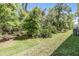 View of a well-maintained backyard featuring lush greenery and a log on the ground at 3621 Country Pointe Pl, Palm Harbor, FL 34684