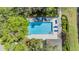 Overhead shot of a sparkling community pool with lounge chairs and well-maintained landscaping at 3621 Country Pointe Pl, Palm Harbor, FL 34684
