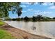 Scenic view of the serene lake, edged by lush trees and under a blue sky with fluffy white clouds at 3821 N Oak Dr # J31, Tampa, FL 33611