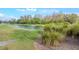 Scenic pond view with fountain and lush landscaping in a serene setting at 7441 Trovita Rd, Land O Lakes, FL 34637