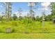 Picturesque backyard featuring a lush green lawn with native plants and a 'no trespassing' sign at 2159 Warwick Dr, Oldsmar, FL 34677